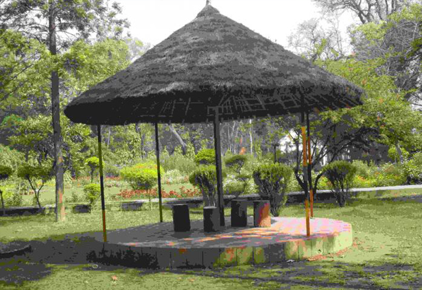 gandhi-bagh-company-garden